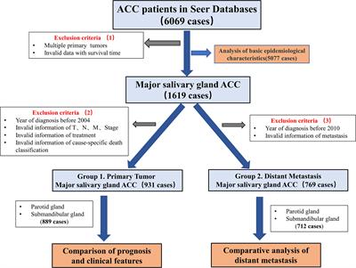High-risk subtype: Clinical manifestations and molecular characteristics of submandibular gland adenoid cystic carcinoma
